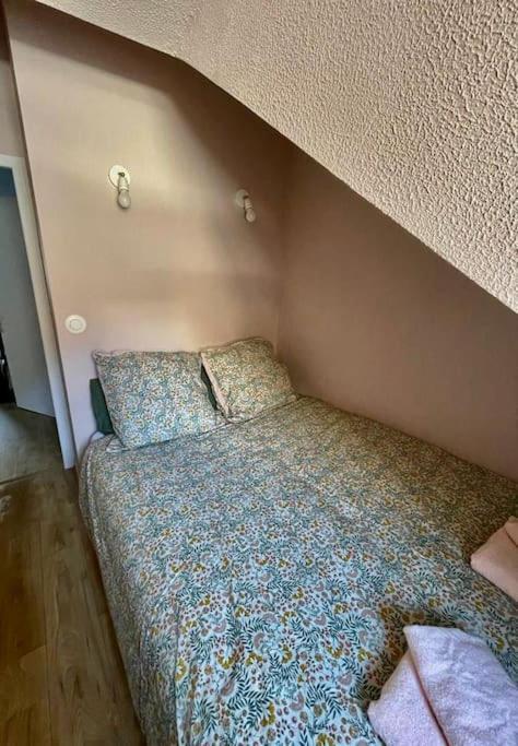 A 50M Du Centre & Des Telecabines, Nid Douillet Cauterets Kültér fotó